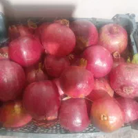 انار درجه ۱ کوهمره|خوردنی و آشامیدنی|شیراز, گلشن|دیوار
