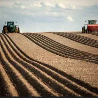 به اجاره داده میشود(جای بادام زمینی )کشت اول و دوم