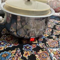 یک عدد آرام پز نپتون سالم سالم