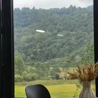 کلبه دنج و چوبی در دل جنگل های لفور|اجارهٔ کوتاهمدت ویلا و باغ|آلاشت, |دیوار