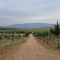 زمین مسکونی ۴۰۰ متری جهاد کشاورزی قصرسبز صدرا