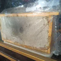 عسل طبیعی