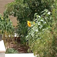 فروش منزل۱۵۰متری/نوساز فضیلت/نزدیک به خیابان اصلی