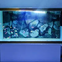 آکواریوم ۳۰۰ لیتری