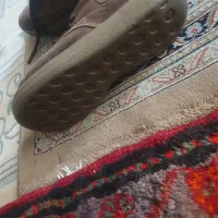 کفش پیاده روی کوهپیمایی زاگرس تمیز و بدون ایراد|کیف، کفش، کمربند|تبریز, |دیوار