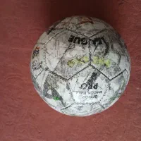 توپ سالنی|ورزشهای توپی|کرمان, |دیوار