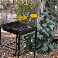 قفس و پایه|لوازم جانبی حیوانات|کرج, شهرک بنفشه|دیوار