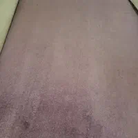 ۹متر موکت تافتینگ سوسنی رنگ