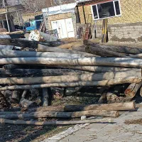 چوب خشک|مصالح و تجهیزات ساختمان|سیلوانه, |دیوار