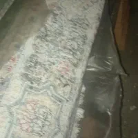 فرش 12متری|فرش|علی‌آباد کتول, |دیوار