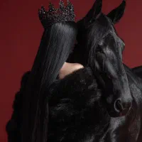 ادیت فیلم و عکس