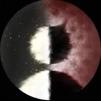 رزرو اتاق فرار دعوت