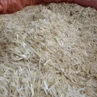 کاه گندم دیم  درجه یک کلات نادر