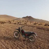 موتور۸۶