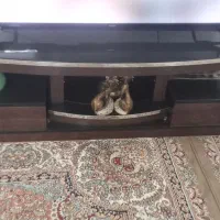 میز ال ای دی