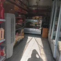 واگذاری پروتینی