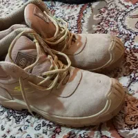 کفش کار