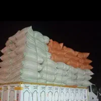 خسیل سبز چین گندم