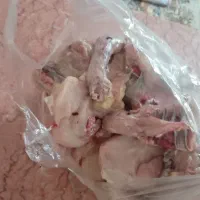 اسکلت مرغ ویه عددجوجه مرغ محلی متوسط