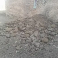 کودحیوانی