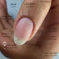 آموزش کاشت ناخن صفر تاصد پنج مدل کاشت