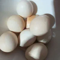 تخم مرغ محلی