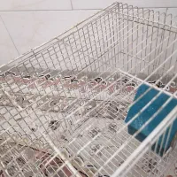 قفس پرنده|لوازم جانبی حیوانات|یزد, |دیوار