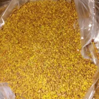 تخم یونجه تضمینی