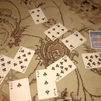 پاسور BEE نو نو|اسباب‌‌بازی|اصفهان, شفق|دیوار