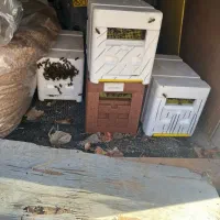 کندوچه‌زنبور