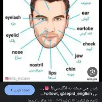 پارنتر زبان انگلیسی