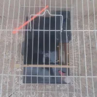 قفس پرنده با لوازم درحدنو