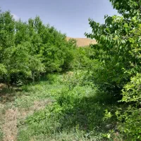 باغ-کشاورزی-درعارفی