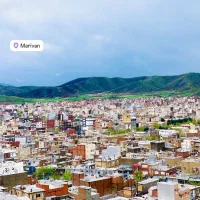 دوکانم گرک له محلەی استادیوم کوچی دولاش