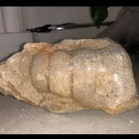 سنگ فسیل قدمت دار بسیار زیبا