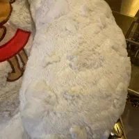 خرس بزرگ(شاسخین)|اسباب‌‌بازی|تهران, شهرک آزمایش|دیوار