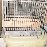 چند قفس پرنده