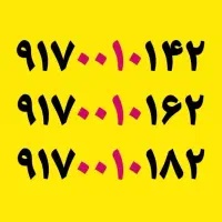 یکجا باهم بفروش می‌رسد