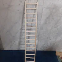 نردبان ۹۰ سانتی  مرغ عشق ملنگو گرینچیک، عروس هلندی