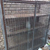 قفس کبوتر