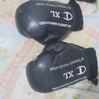 دسکش بوکس