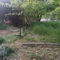 زمین طالقان|فروش زمین و ملک کلنگی|طالقان, |دیوار