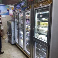 تعمیرات یخچال فریزر صنعتی فروشگاهی ویترینی|خدمات پیشه و مهارت|اصفهان, باغ کاران|دیوار