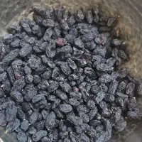 مویز بدون هسته درجه یک