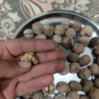 گردو درجه یک خوش طعم|خوردنی و آشامیدنی|نقده, |دیوار