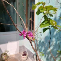 سرپرست شیفت شب خوابگاه دانشجویی دخترانه