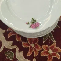 چینی گل سرخی