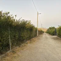 باغ ۱۲۰۰ متری در مجموعه باغی تجره، ده دقیقه تا شهر|فروش دفتر صنعتی، کشاورزی، تجاری|خرمآباد, |دیوار