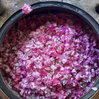 گلاب وعرقیجات طبیعی وستتی قمصرکاشان|خوردنی و آشامیدنی|تهران, جیحون|دیوار