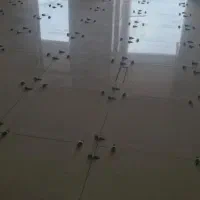 اپارتمان 145م شاهدجنوبی معاوضه با زمین شهری